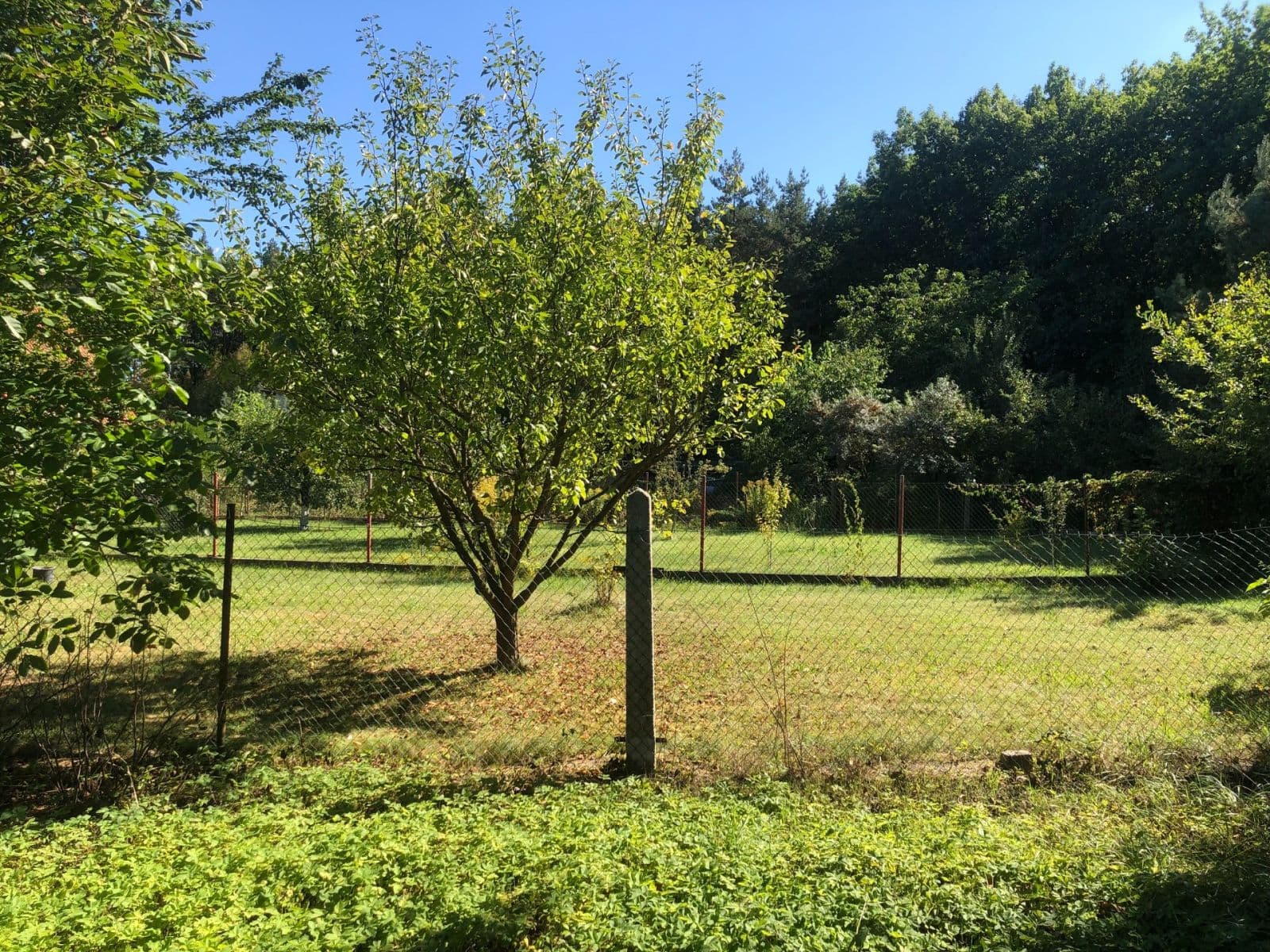 Prodej pozemku 685 m², U Lesa, Jirny, Středočeský kraj Prodej pozemku 685 m², U Lesa, Jirny, Středočeský kraj