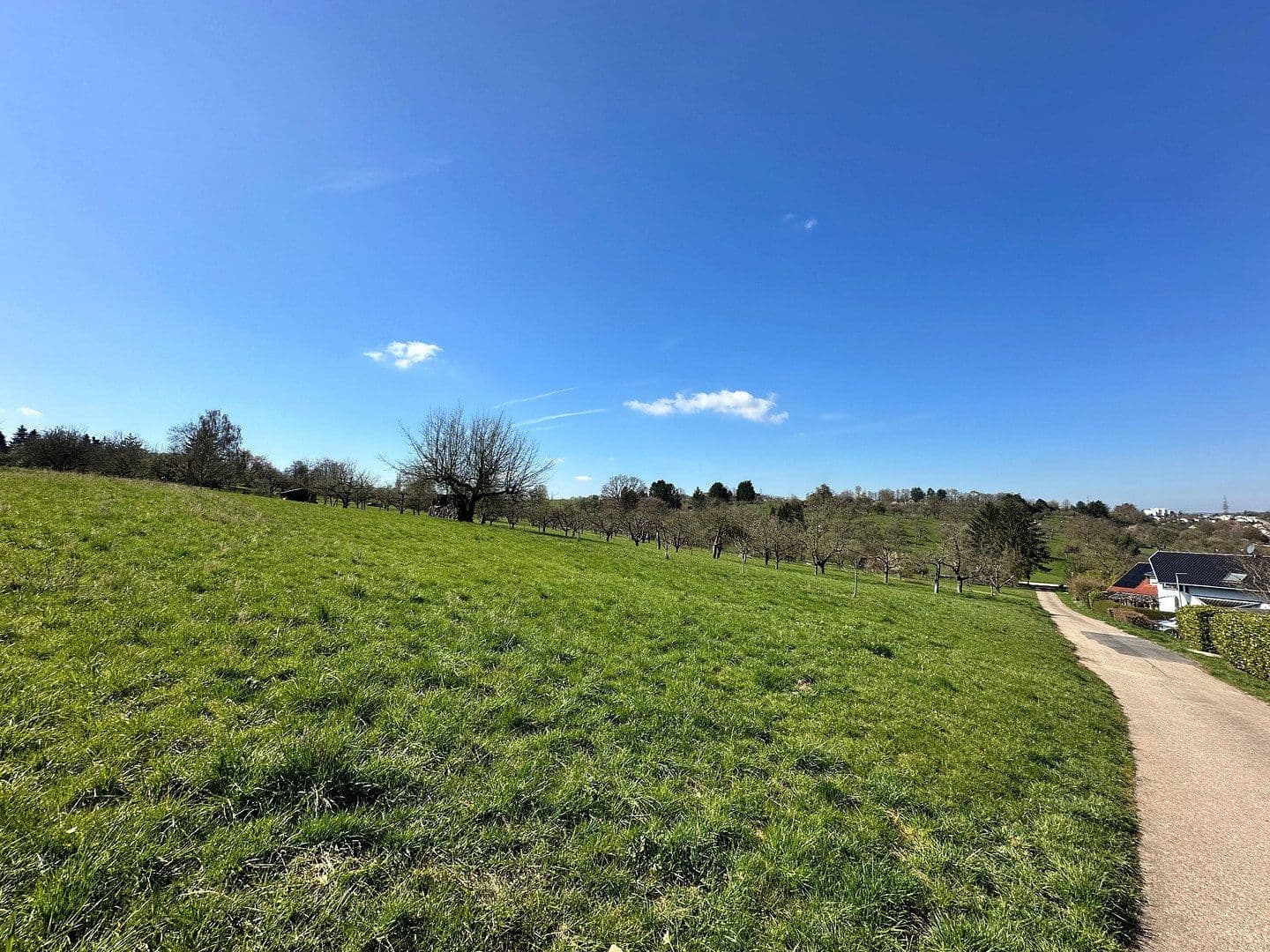 Prodej domu 207 m², pozemek 364 m², Deizisau, Bádensko-Württembersko Prodej domu 207 m², pozemek 364 m², Deizisau, Bádensko-Württembersko