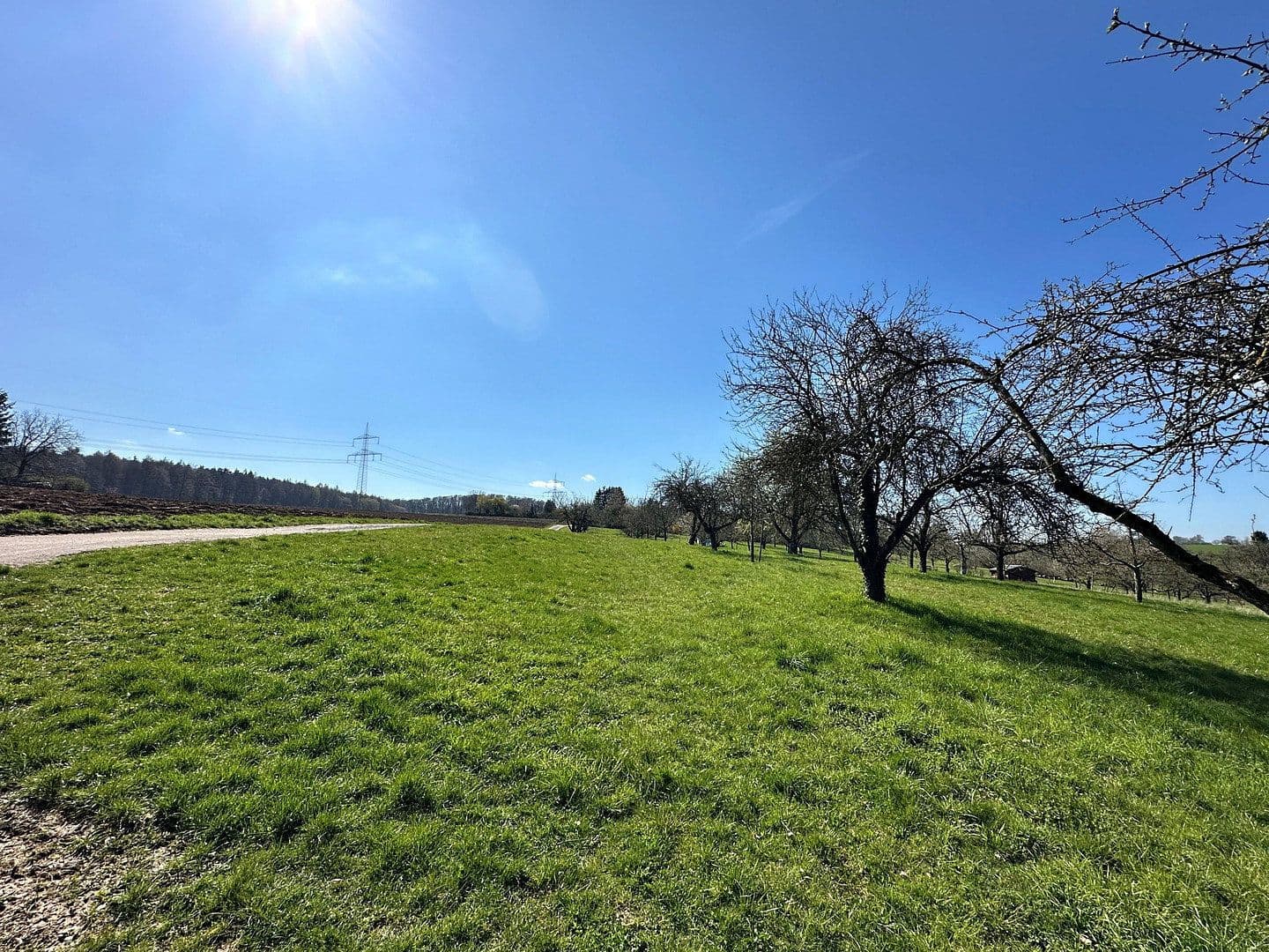 Prodej domu 207 m², pozemek 364 m², Deizisau, Bádensko-Württembersko Prodej domu 207 m², pozemek 364 m², Deizisau, Bádensko-Württembersko