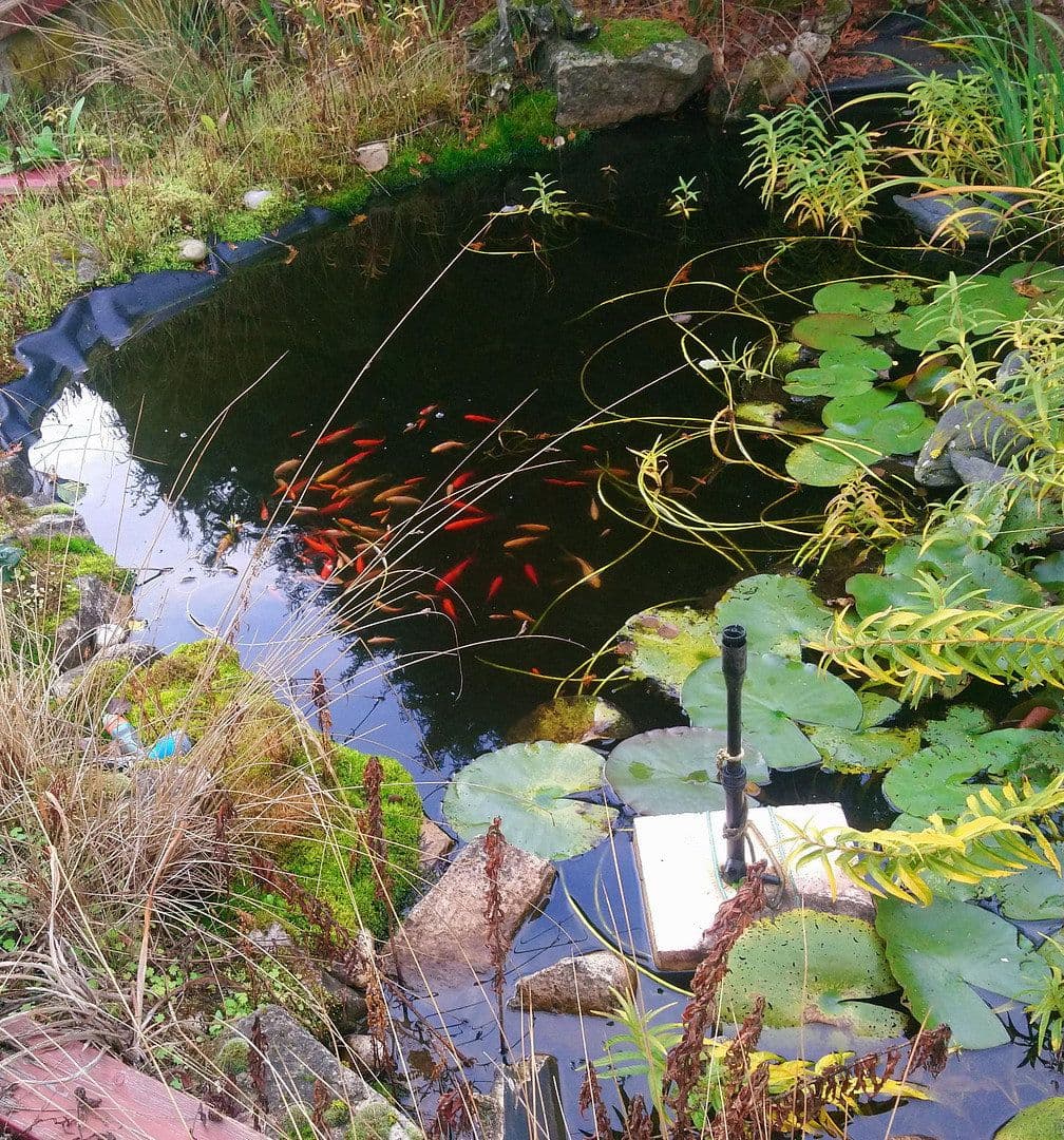 Prodej domu 118 m², pozemek 270 m², Oberleichtersbach, Bavorsko Prodej domu 118 m², pozemek 270 m², Oberleichtersbach, Bavorsko