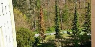 Prodej bytu 3+kk 80 m², Sindelfingen, Bádensko-Württembersko Prodej bytu 3+kk 80 m², Sindelfingen, Bádensko-Württembersko