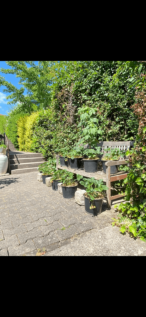 Prodej domu 110 m², pozemek 200 m², Weissach, Bádensko-Württembersko Prodej domu 110 m², pozemek 200 m², Weissach, Bádensko-Württembersko