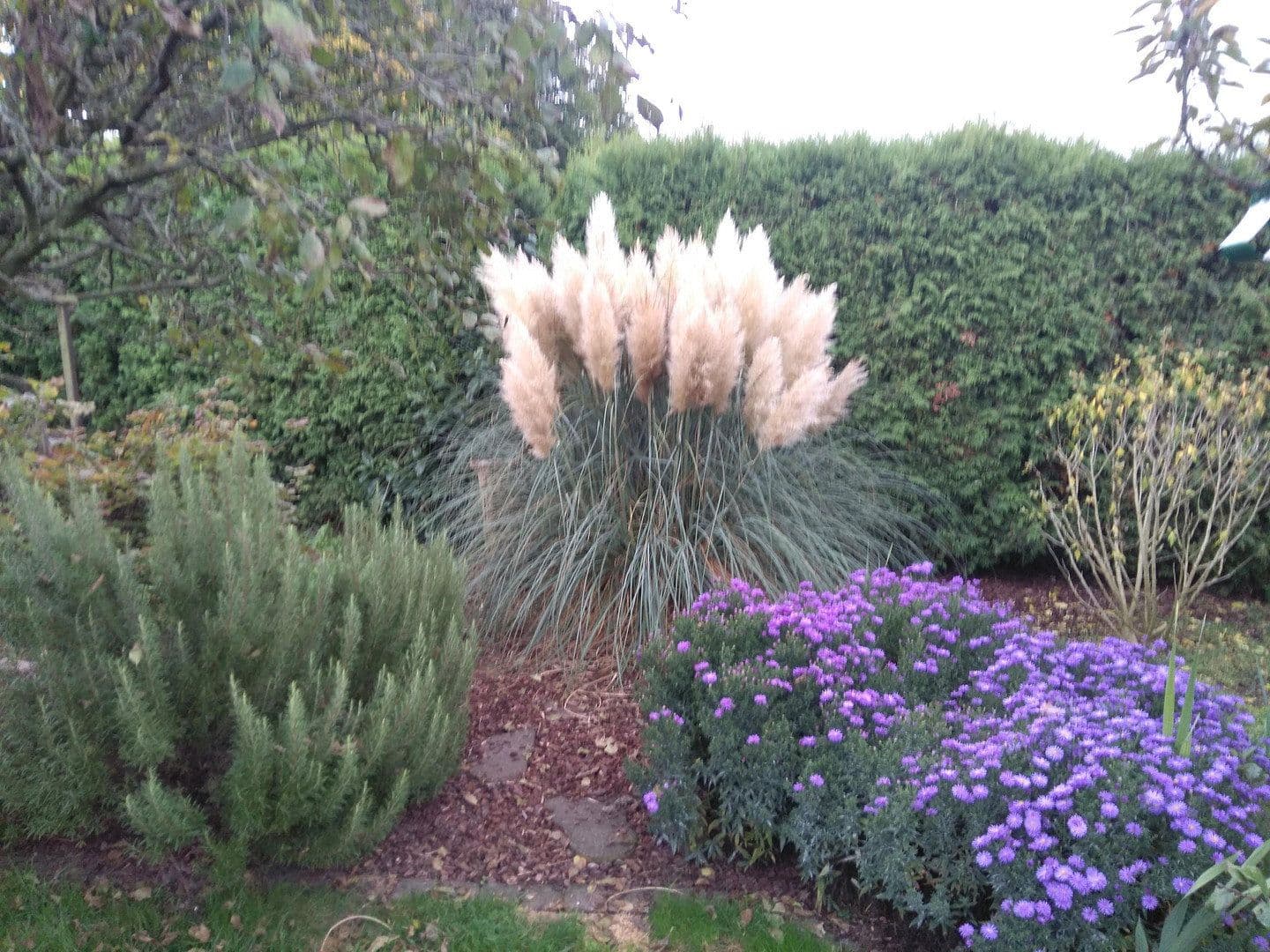 Prodej domu 185 m², pozemek 652 m², Wülfrath, Severní Porýní-Vestfálsko Prodej domu 185 m², pozemek 652 m², Wülfrath, Severní Porýní-Vestfálsko