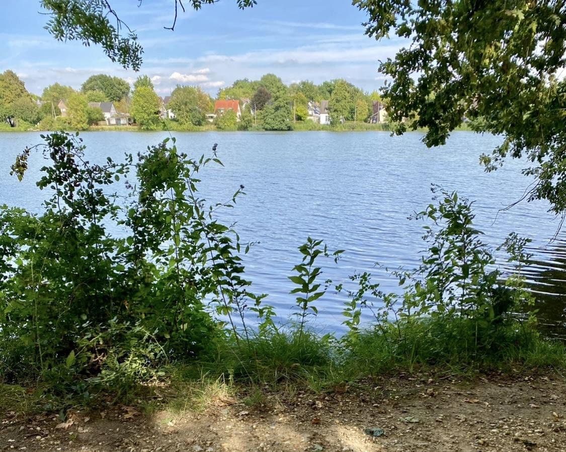 Prodej domu 138 m², pozemek 378 m², Friedhofstraße 24, Nettetal, Severní Porýní-Vestfálsko Prodej domu 138 m², pozemek 378 m², Friedhofstraße 24, Nettetal, Severní Porýní-Vestfálsko