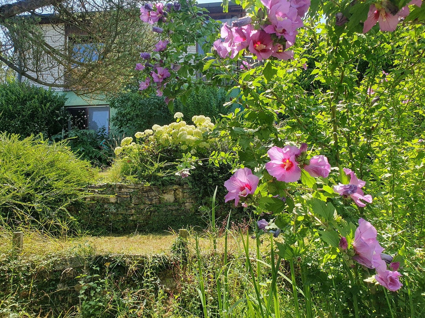 Prodej domu 199 m², pozemek 1.037 m², Diezenthalweg 2, Buggingen, Bádensko-Württembersko Prodej domu 199 m², pozemek 1.037 m², Diezenthalweg 2, Buggingen, Bádensko-Württembersko