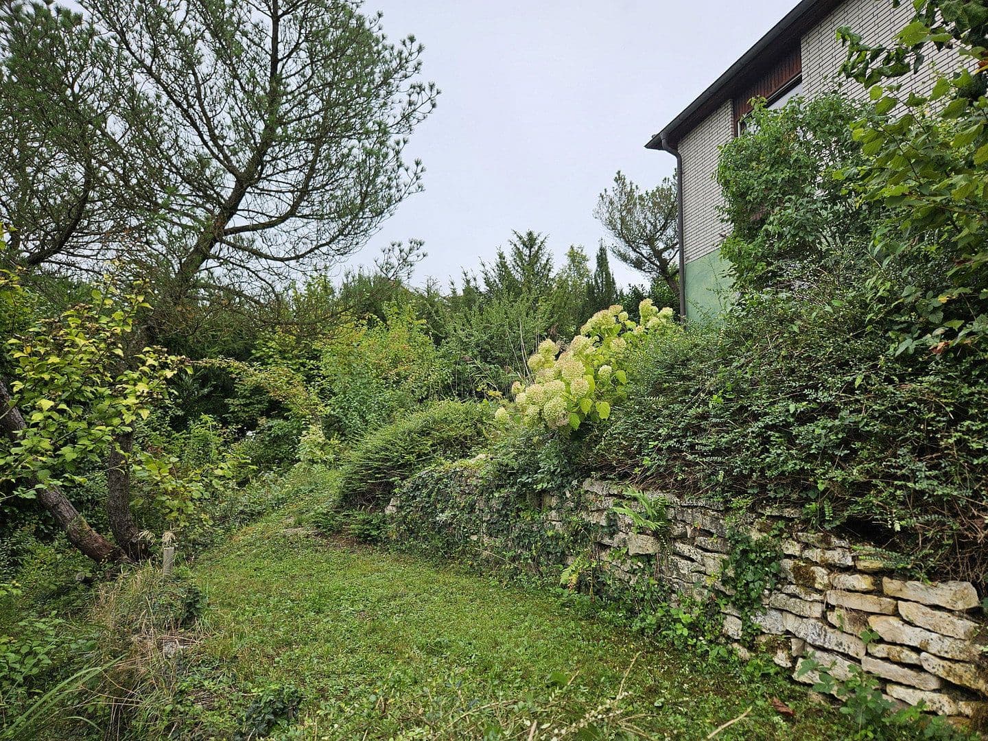 Prodej domu 199 m², pozemek 1.037 m², Diezenthalweg 2, Buggingen, Bádensko-Württembersko Prodej domu 199 m², pozemek 1.037 m², Diezenthalweg 2, Buggingen, Bádensko-Württembersko