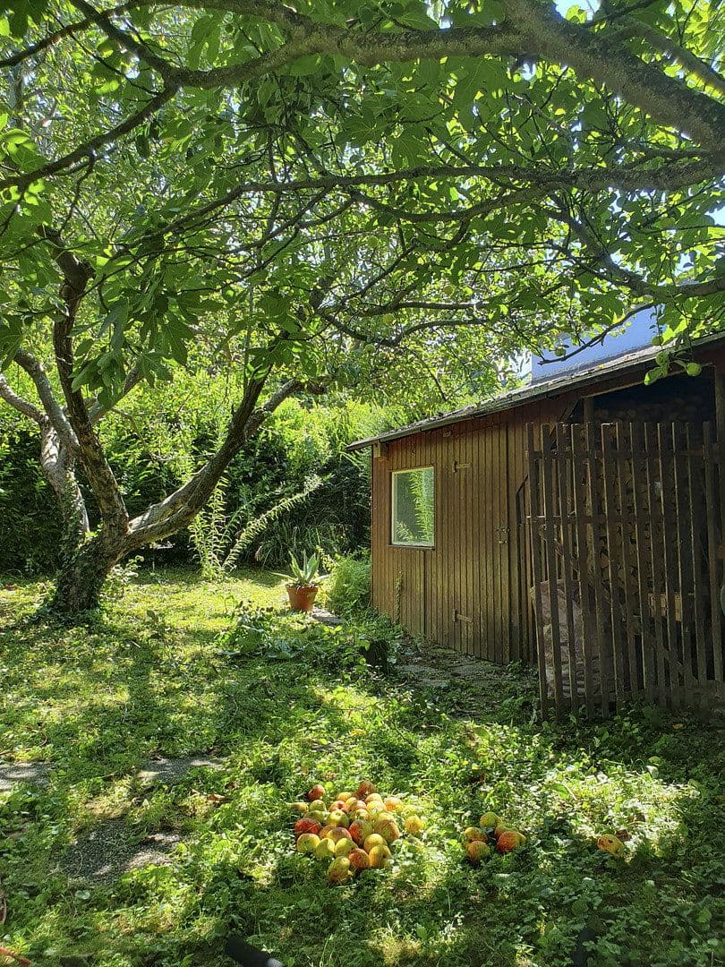 Prodej domu 199 m², pozemek 1.037 m², Diezenthalweg 2, Buggingen, Bádensko-Württembersko Prodej domu 199 m², pozemek 1.037 m², Diezenthalweg 2, Buggingen, Bádensko-Württembersko