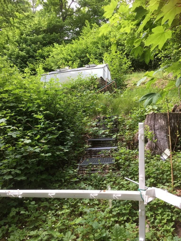 Prodej pozemku 3.218 m², Zell im Wiesental, Bádensko-Württembersko Prodej pozemku 3.218 m², Zell im Wiesental, Bádensko-Württembersko
