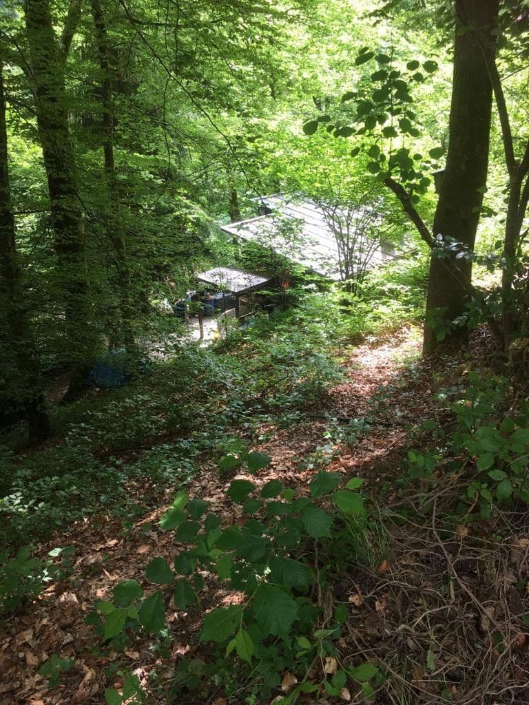 Prodej pozemku 3.218 m², Zell im Wiesental, Bádensko-Württembersko Prodej pozemku 3.218 m², Zell im Wiesental, Bádensko-Württembersko