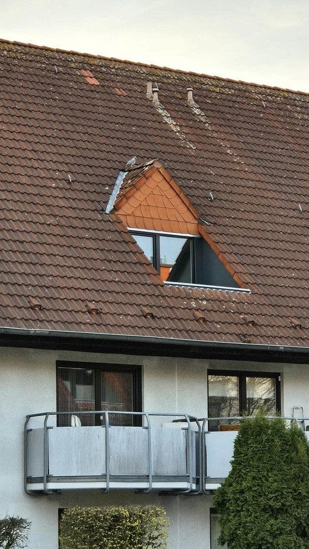 Pronájem bytu 1+1 26 m², Zur Friedrichsburg 14, Greven, Severní Porýní-Vestfálsko Pronájem bytu 1+1 26 m², Zur Friedrichsburg 14, Greven, Severní Porýní-Vestfálsko