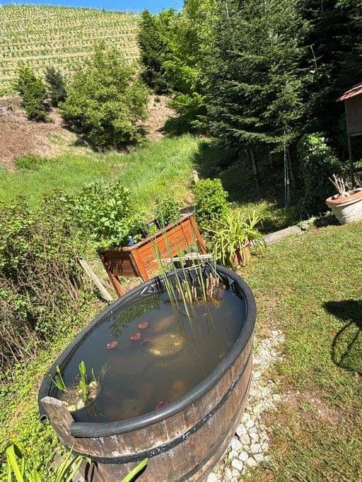 Prodej domu 296 m², pozemek 940 m², Oberkirch, Bádensko-Württembersko Prodej domu 296 m², pozemek 940 m², Oberkirch, Bádensko-Württembersko