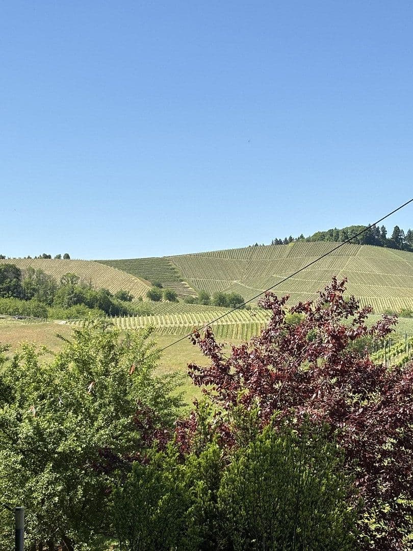 Prodej domu 296 m², pozemek 940 m², Oberkirch, Bádensko-Württembersko Prodej domu 296 m², pozemek 940 m², Oberkirch, Bádensko-Württembersko