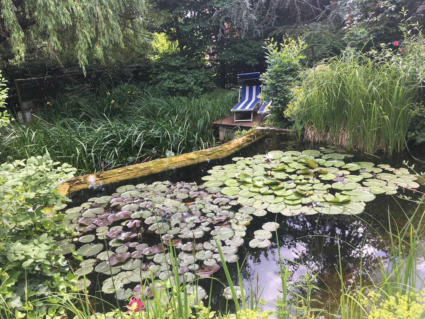 Prodej domu 238 m², pozemek 1.108 m², Landshut, Bavorsko Prodej domu 238 m², pozemek 1.108 m², Landshut, Bavorsko