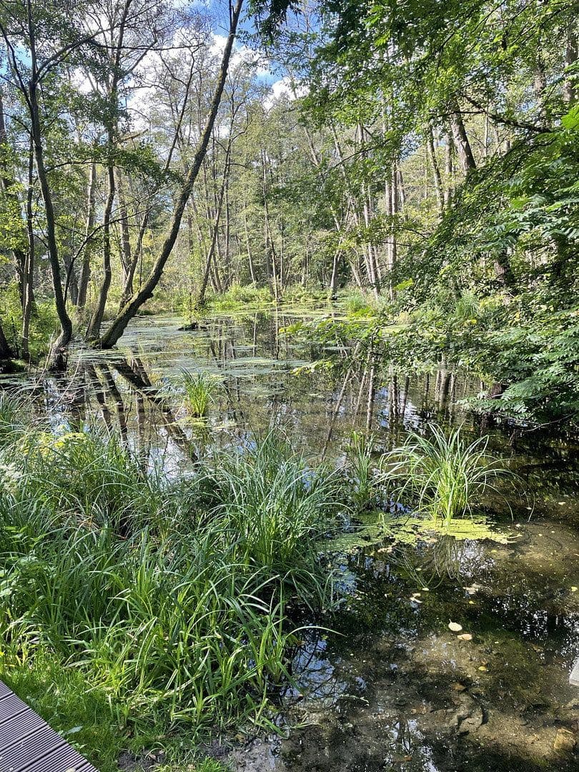 Prodej domu 127 m², pozemek 1.242 m², Birkenwerder, Braniborsko Prodej domu 127 m², pozemek 1.242 m², Birkenwerder, Braniborsko