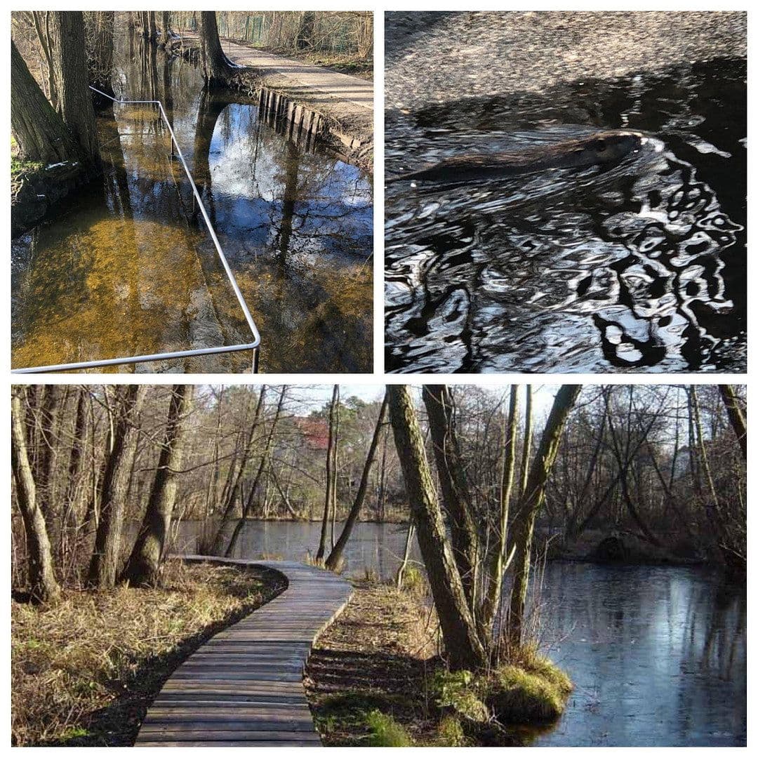 Prodej domu 127 m², pozemek 1.242 m², Birkenwerder, Braniborsko Prodej domu 127 m², pozemek 1.242 m², Birkenwerder, Braniborsko