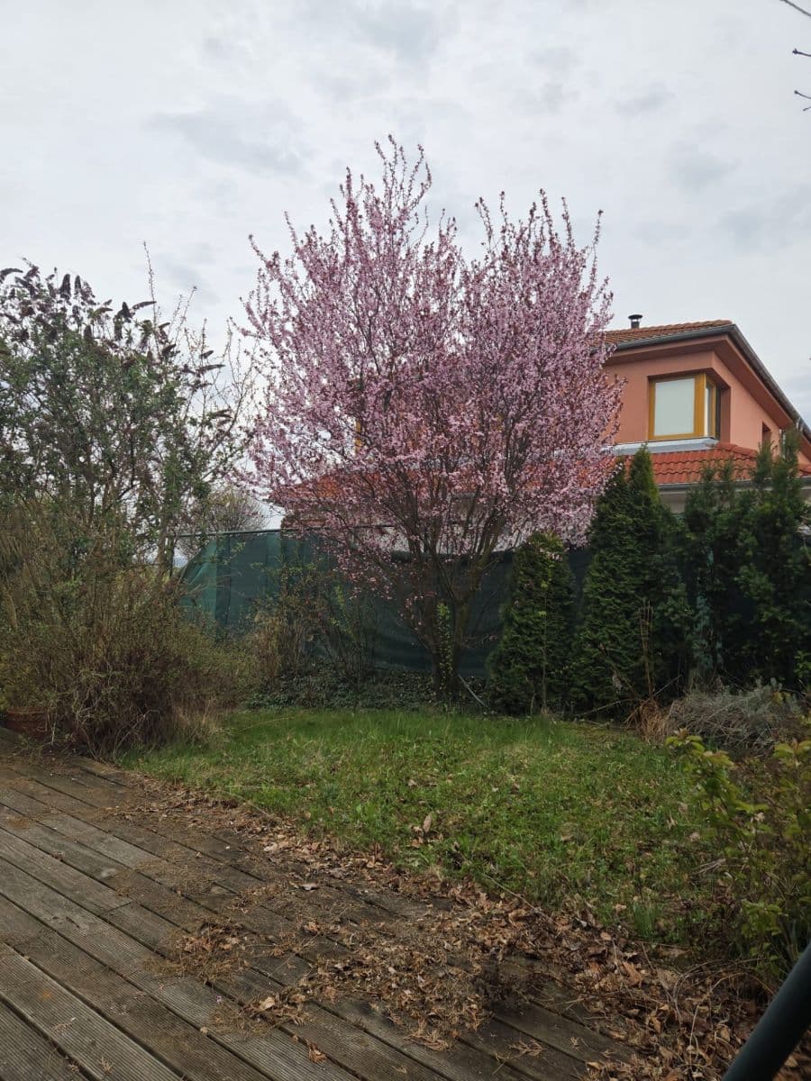 Pronájem bytu 1+kk 30 m², Sukova, Velké Přílepy, Středočeský kraj Pronájem bytu 1+kk 30 m², Sukova, Velké Přílepy, Středočeský kraj