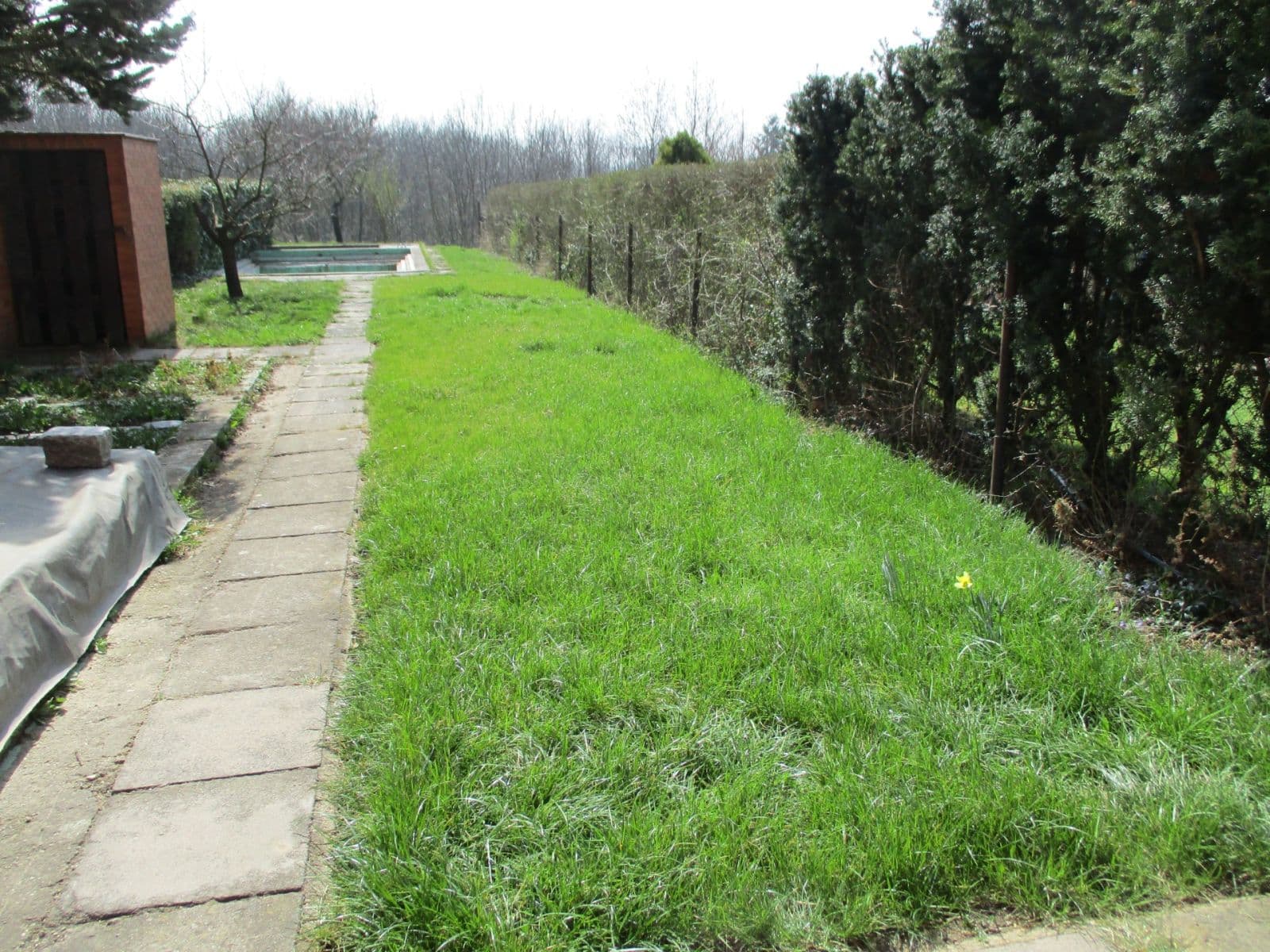 Pronájem domu 201 m², pozemek 390 m², Eledrova, Praha, Praha Pronájem domu 201 m², pozemek 390 m², Eledrova, Praha, Praha