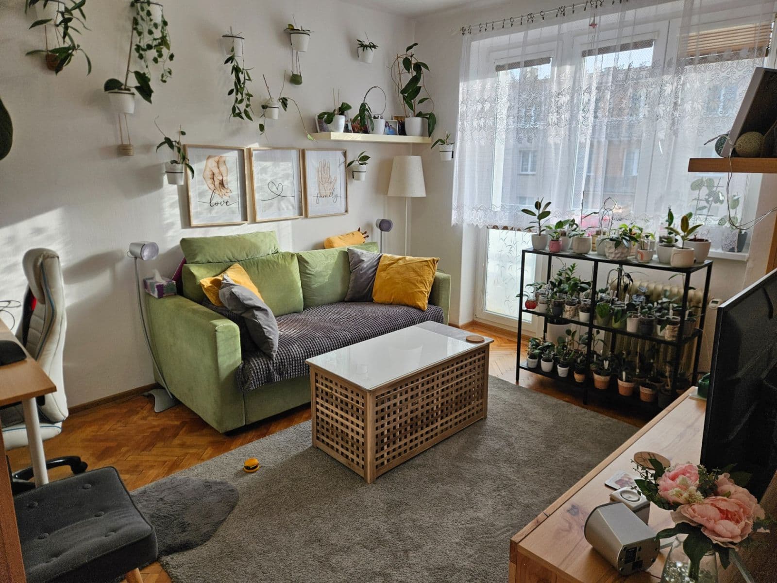 Prodej bytu 2+1 52 m², Šumperská, Praha, Praha Prodej bytu 2+1 52 m², Šumperská, Praha, Praha