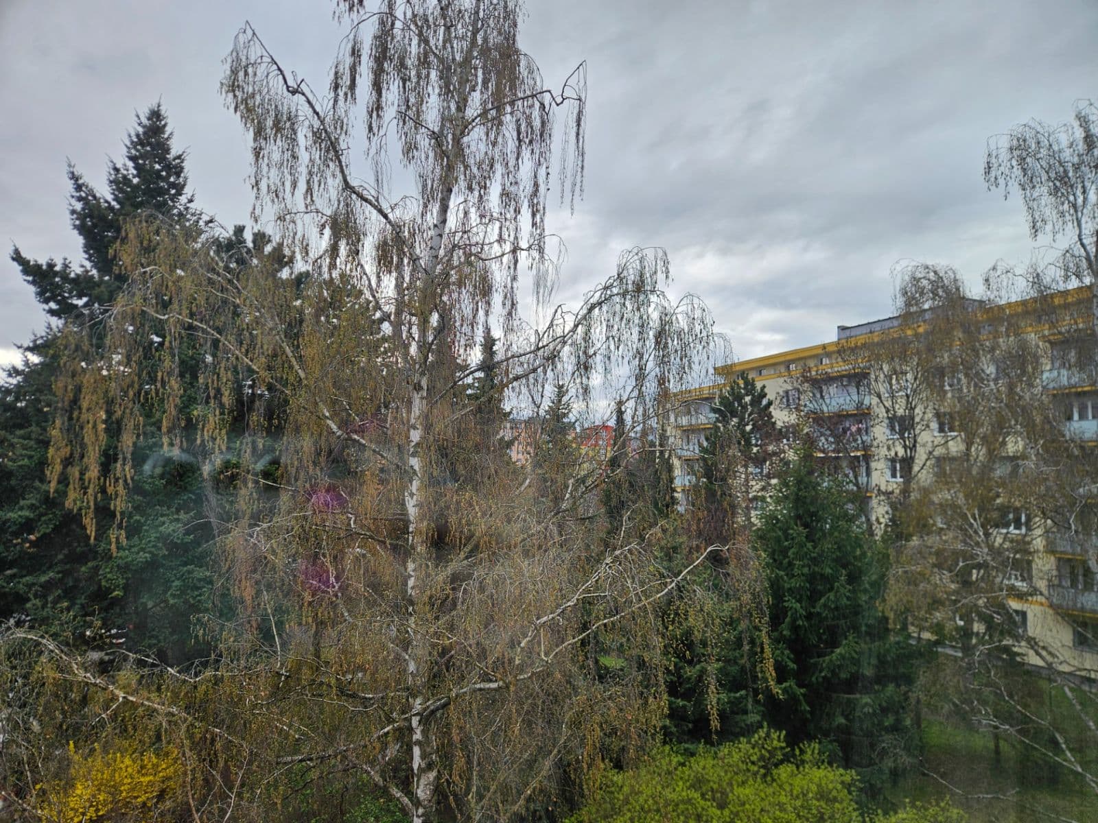 Prodej bytu 2+1 52 m², Šumperská, Praha, Praha Prodej bytu 2+1 52 m², Šumperská, Praha, Praha