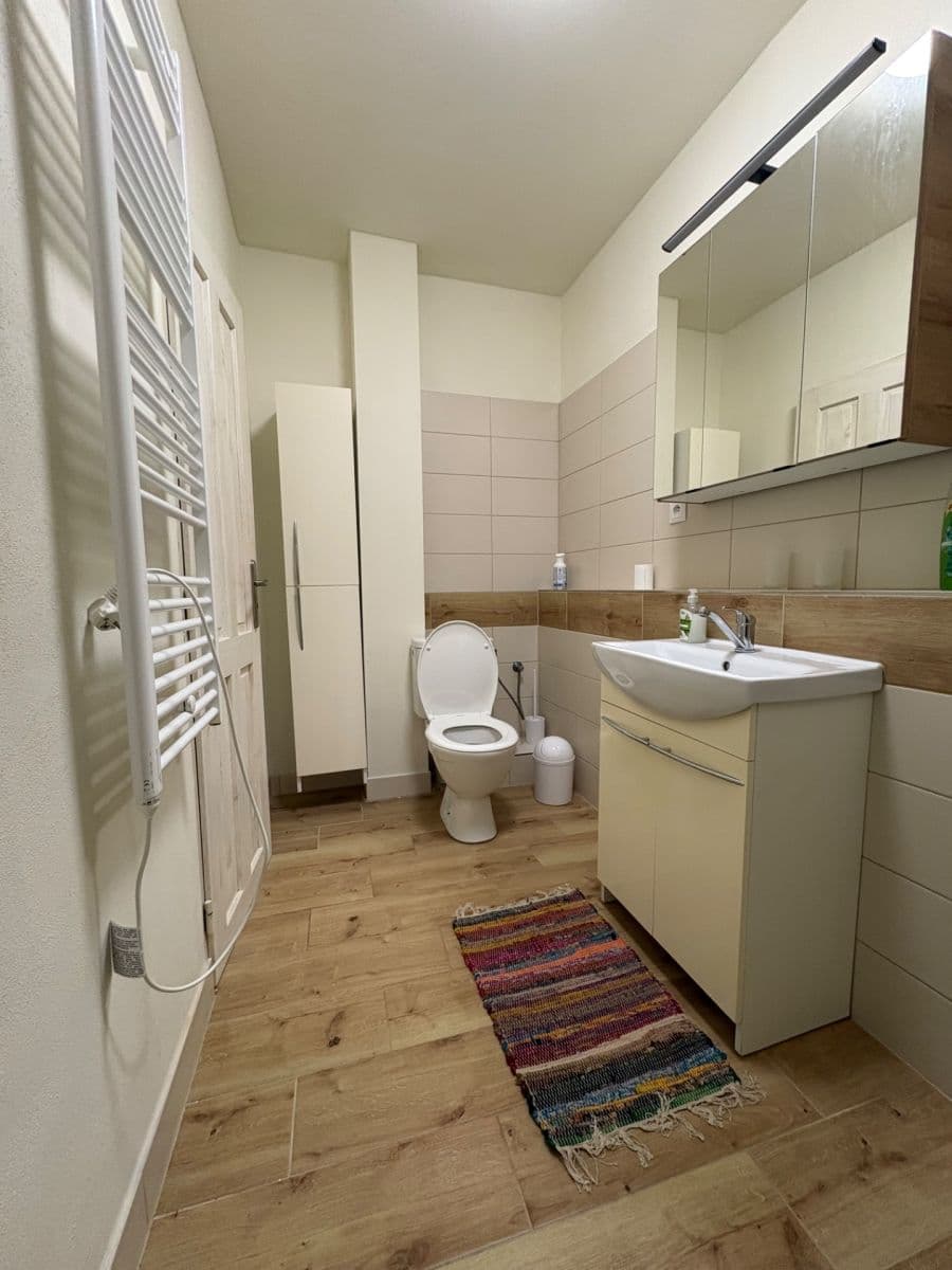 Pronájem bytu 40 m², Široká, České Budějovice, Jihočeský kraj Pronájem bytu 40 m², Široká, České Budějovice, Jihočeský kraj