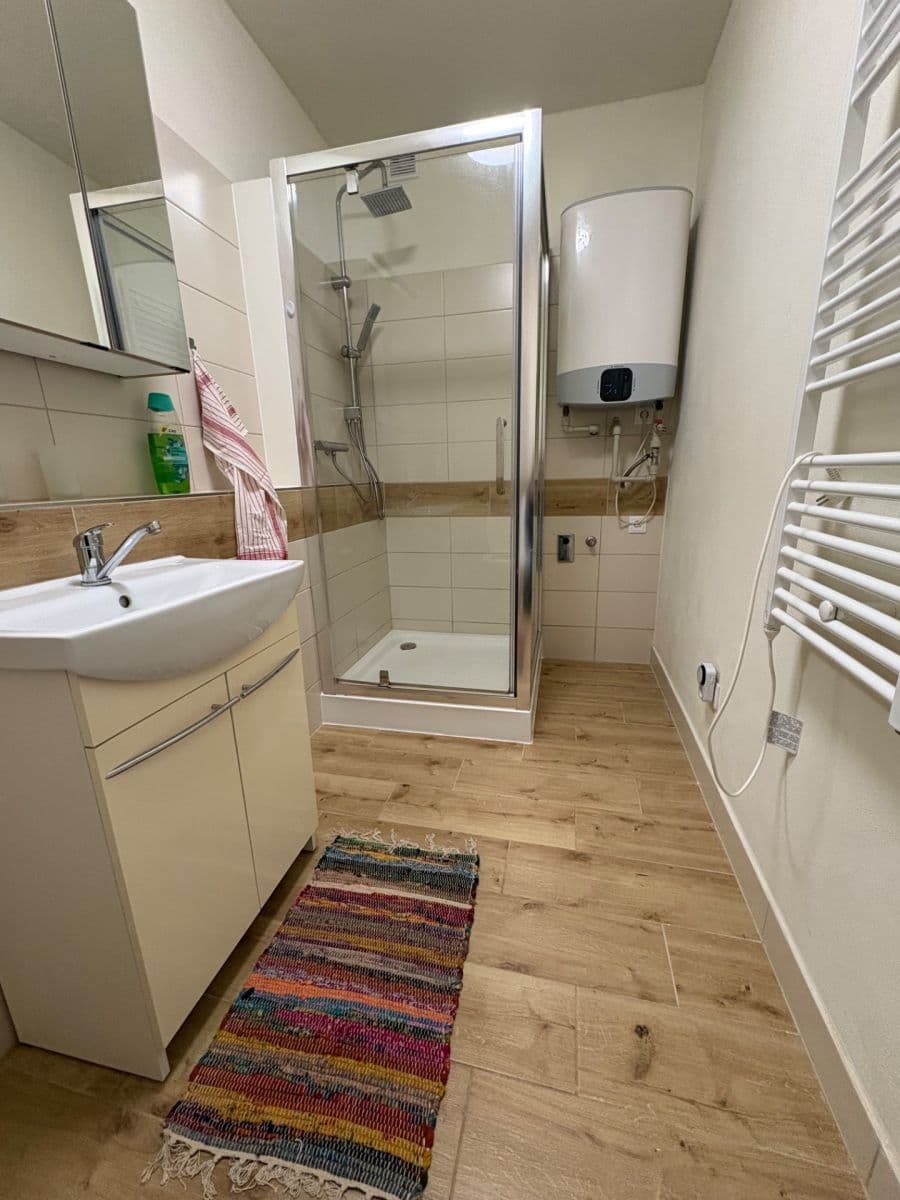 Pronájem bytu 40 m², Široká, České Budějovice, Jihočeský kraj Pronájem bytu 40 m², Široká, České Budějovice, Jihočeský kraj