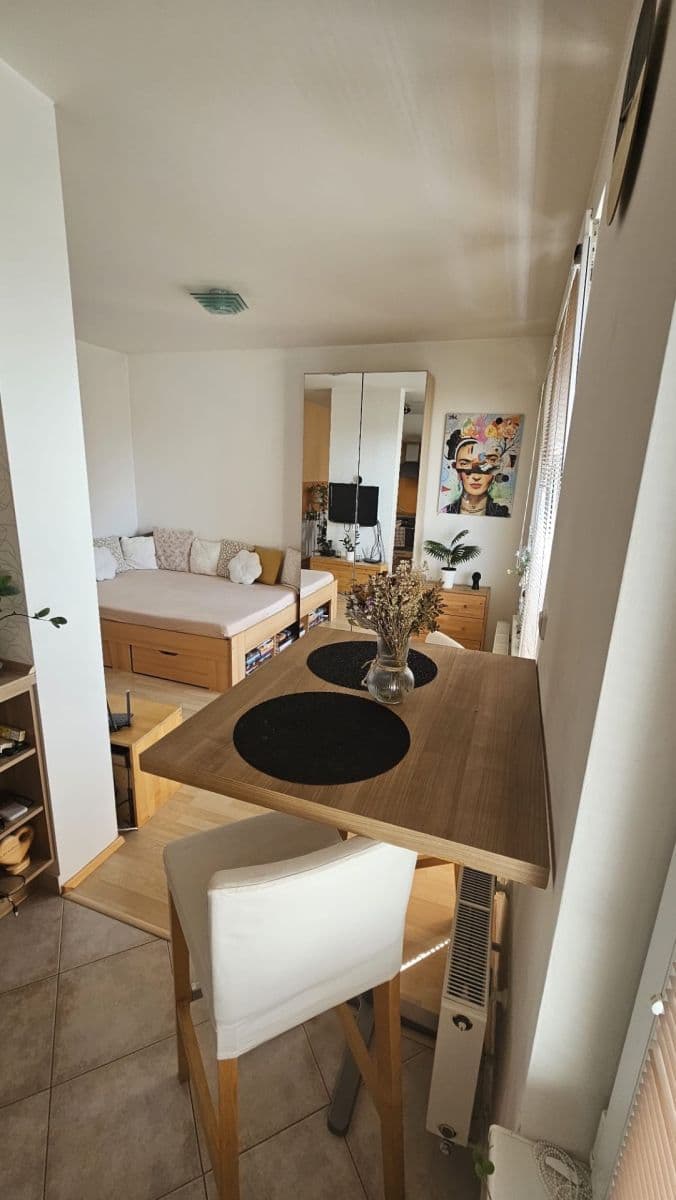 Pronájem bytu 1+kk 42 m², Sazovická, Praha, Praha Pronájem bytu 1+kk 42 m², Sazovická, Praha, Praha