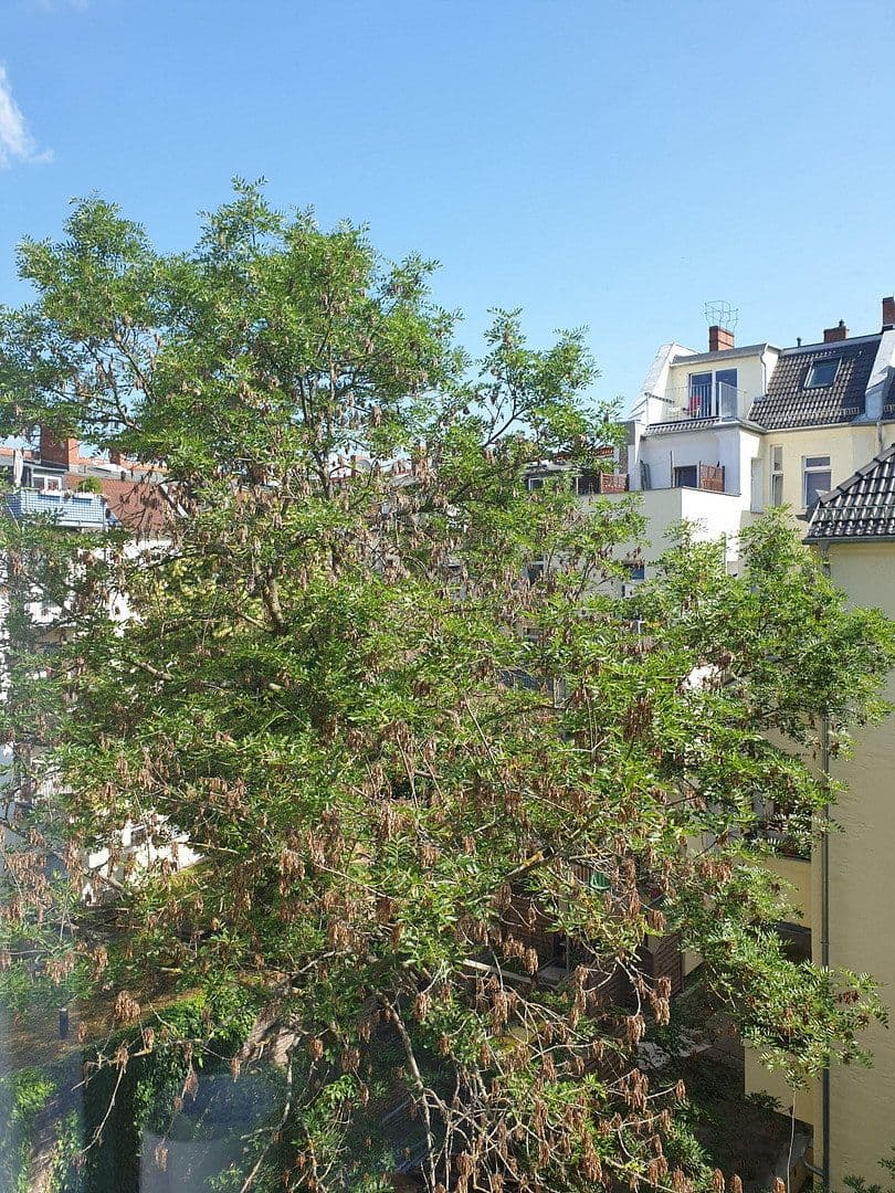 Prodej bytu 5+1 116 m², Scheiblerstr., Berlin, Berlín Prodej bytu 5+1 116 m², Scheiblerstr., Berlin, Berlín