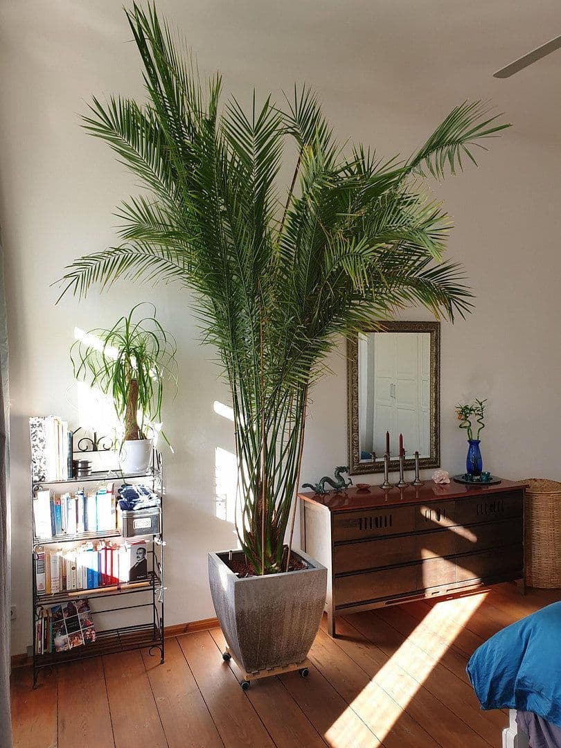 Prodej bytu 5+1 116 m², Scheiblerstr., Berlin, Berlín Prodej bytu 5+1 116 m², Scheiblerstr., Berlin, Berlín