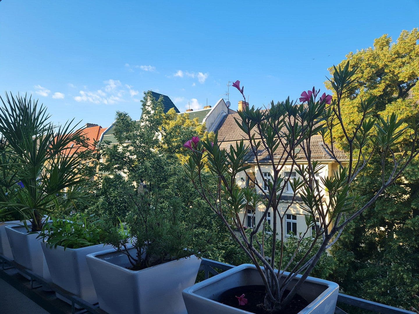 Prodej bytu 5+1 116 m², Scheiblerstr., Berlin, Berlín Prodej bytu 5+1 116 m², Scheiblerstr., Berlin, Berlín