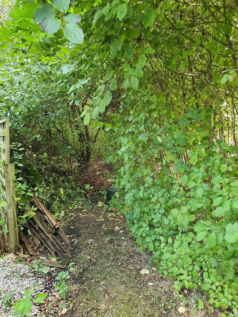 Prodej domu 133 m², pozemek 932 m², Wentorf (Amt Sandesneben), Šlesvicko-Holštýnsko Prodej domu 133 m², pozemek 932 m², Wentorf (Amt Sandesneben), Šlesvicko-Holštýnsko