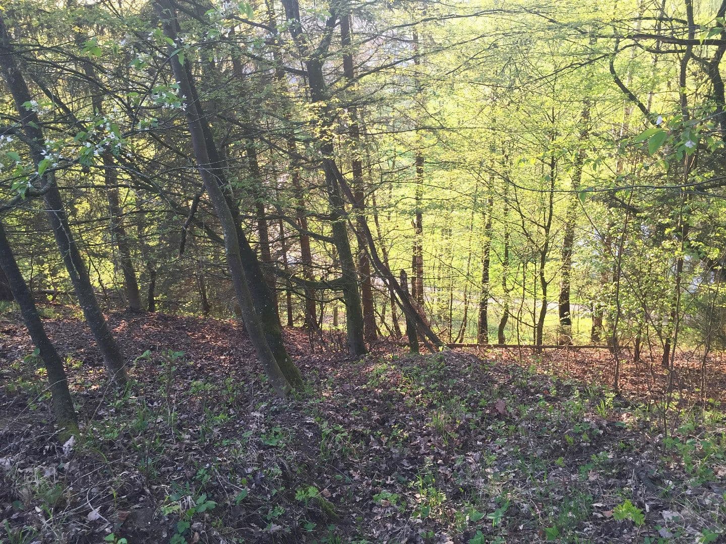 Prodej domu 60 m², pozemek 11.475 m², Adlkofen, Bavorsko Prodej domu 60 m², pozemek 11.475 m², Adlkofen, Bavorsko