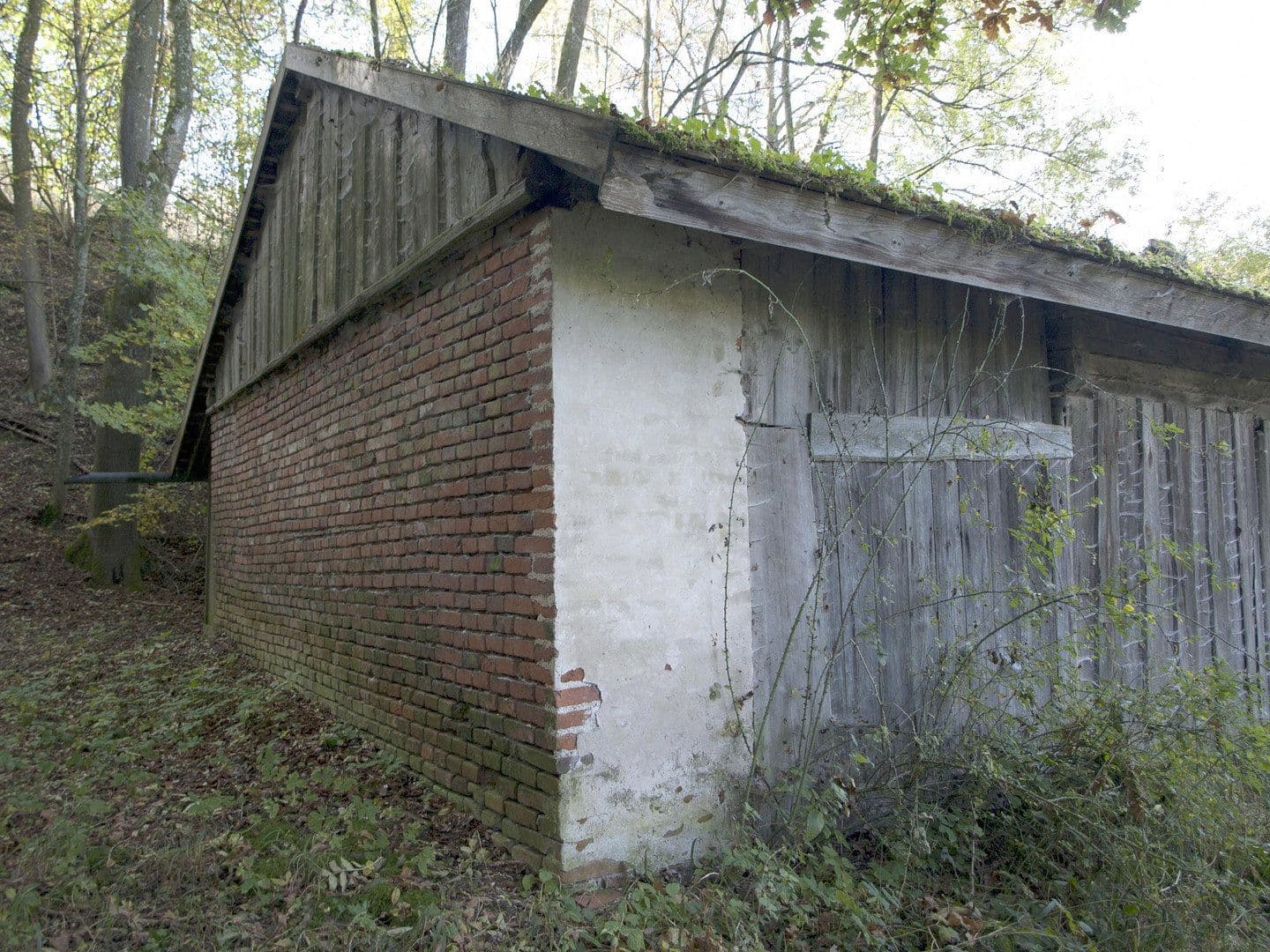 Prodej domu 60 m², pozemek 11.475 m², Adlkofen, Bavorsko Prodej domu 60 m², pozemek 11.475 m², Adlkofen, Bavorsko