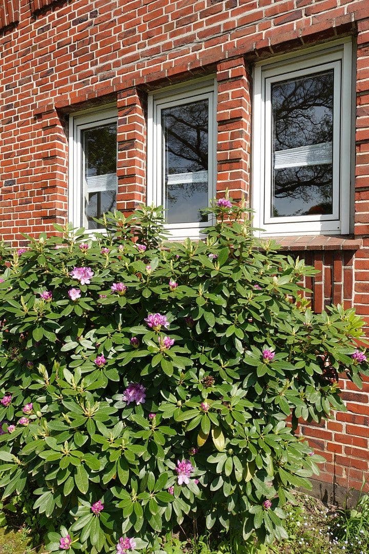 Prodej domu 170 m², pozemek 1.293 m², Hamburg, Hamburg Prodej domu 170 m², pozemek 1.293 m², Hamburg, Hamburg