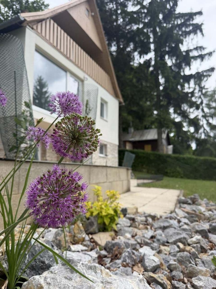 Pronájem chaty, chalupy, Tvarožná Lhota, Jihomoravský kraj Pronájem chaty, chalupy, Tvarožná Lhota, Jihomoravský kraj