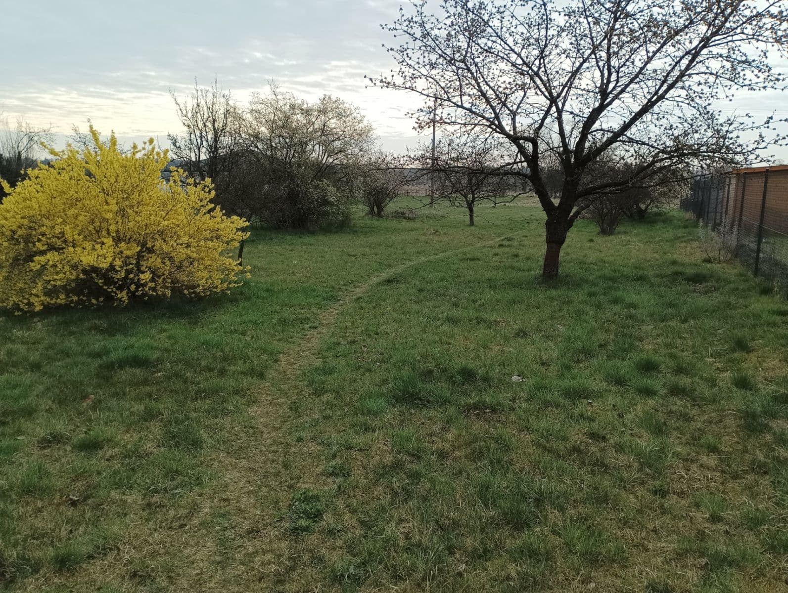 Prodej pozemku 500 m², Polní, Lázně Bohdaneč, Pardubický kraj Prodej pozemku 500 m², Polní, Lázně Bohdaneč, Pardubický kraj