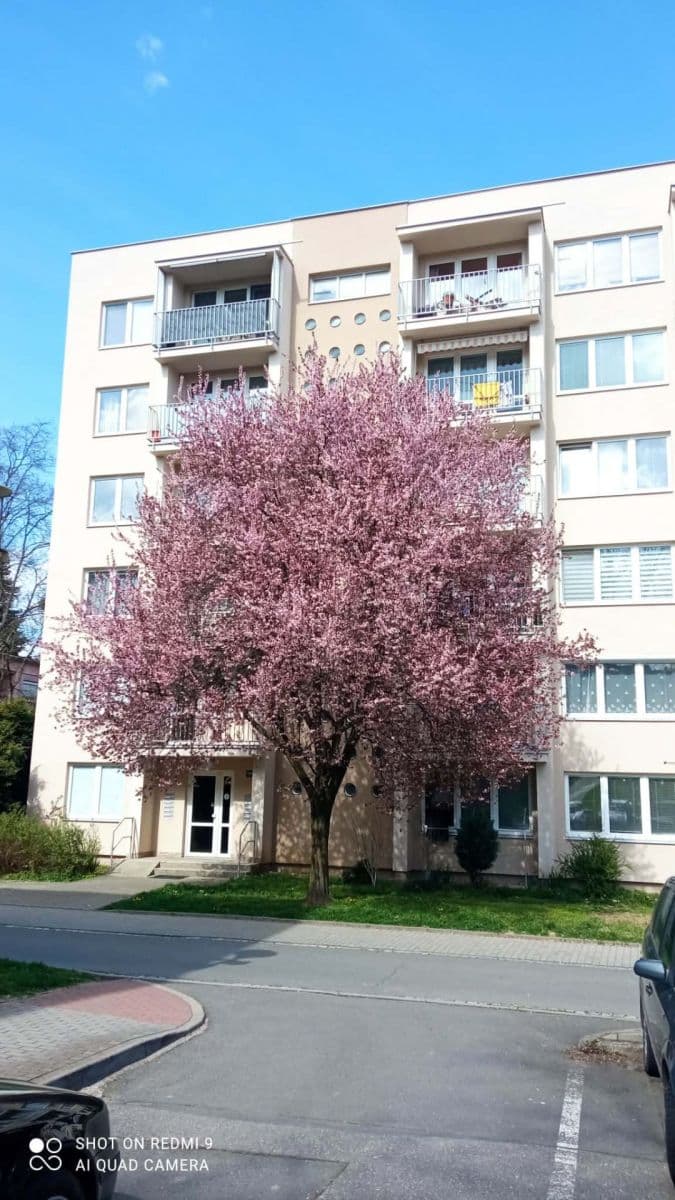 Prodej bytu 3+1 78 m², Dukelská, Zlín, Zlínský kraj Prodej bytu 3+1 78 m², Dukelská, Zlín, Zlínský kraj