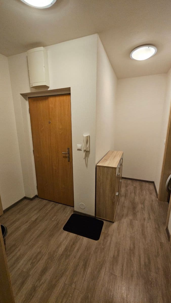 Pronájem bytu 2+kk 53 m², Říčanská, Brno, Jihomoravský kraj Pronájem bytu 2+kk 53 m², Říčanská, Brno, Jihomoravský kraj