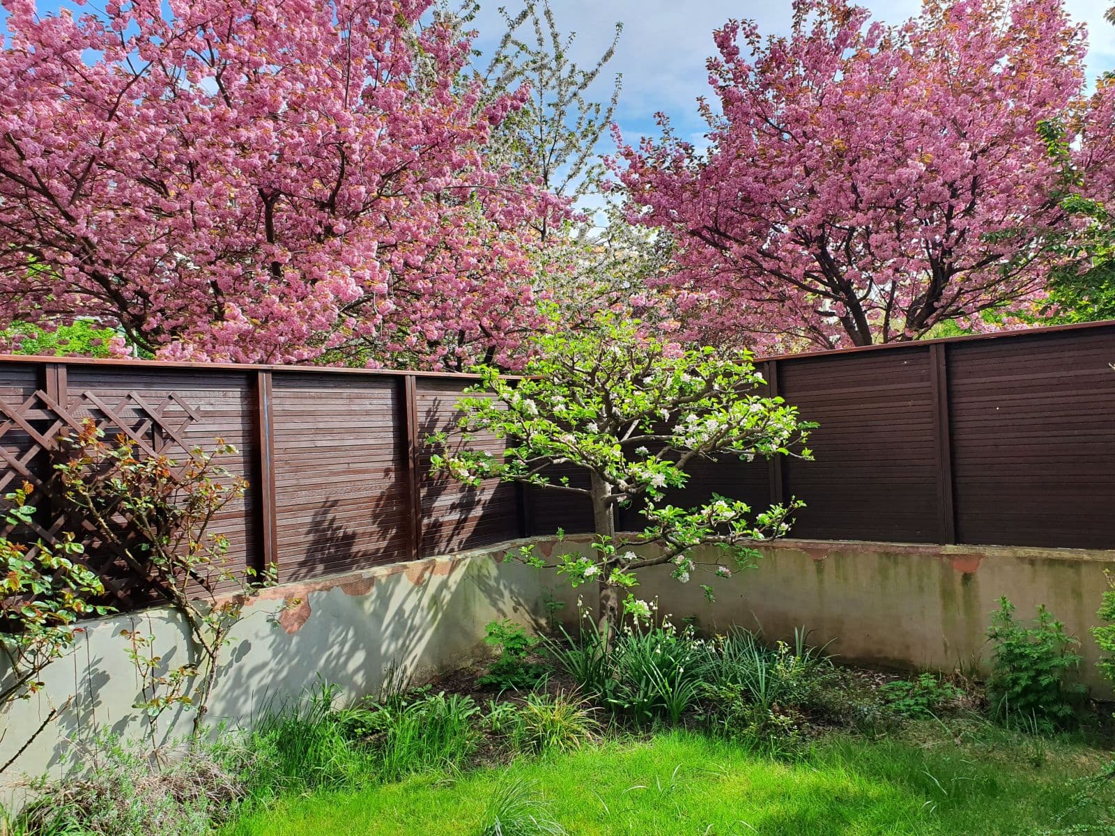 Pronájem bytu 35 m², Kodymova, Praha, Praha Pronájem bytu 35 m², Kodymova, Praha, Praha