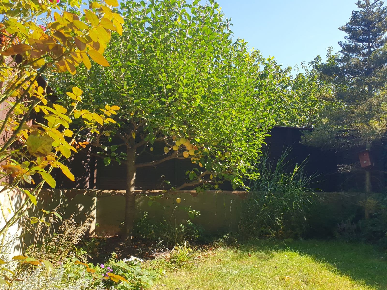 Pronájem bytu 35 m², Kodymova, Praha, Praha Pronájem bytu 35 m², Kodymova, Praha, Praha