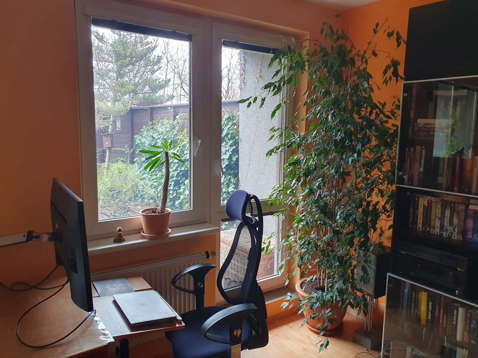 Pronájem bytu 35 m², Kodymova, Praha, Praha Pronájem bytu 35 m², Kodymova, Praha, Praha