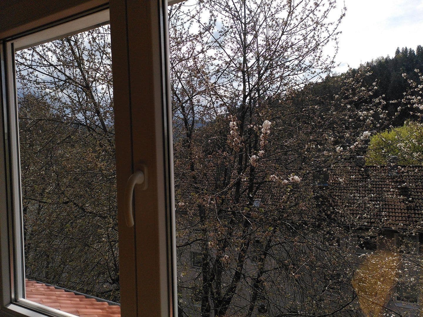 Prodej bytu 4+1 82 m², Baden-Baden, Bádensko-Württembersko Prodej bytu 4+1 82 m², Baden-Baden, Bádensko-Württembersko