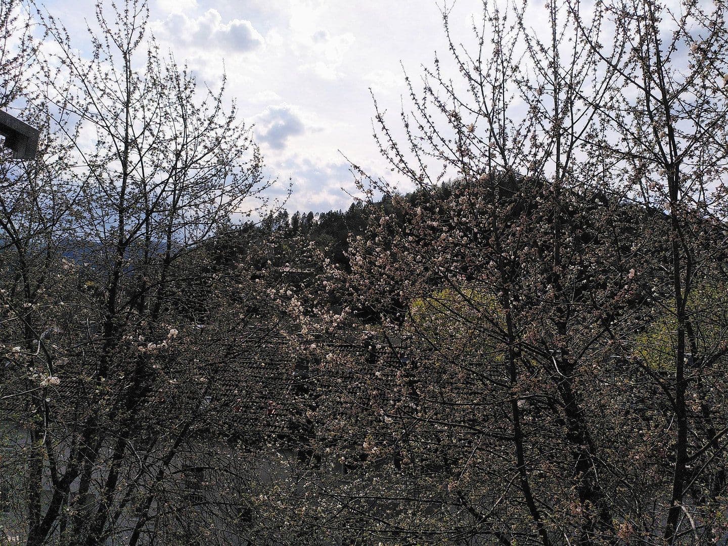 Prodej bytu 4+1 82 m², Baden-Baden, Bádensko-Württembersko Prodej bytu 4+1 82 m², Baden-Baden, Bádensko-Württembersko