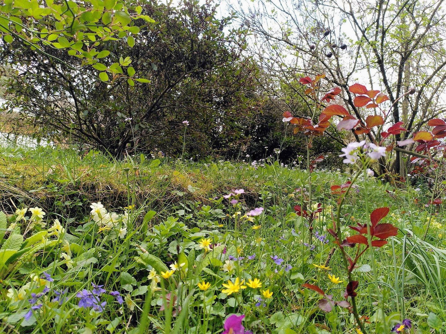 Prodej bytu 4+1 82 m², Baden-Baden, Bádensko-Württembersko Prodej bytu 4+1 82 m², Baden-Baden, Bádensko-Württembersko