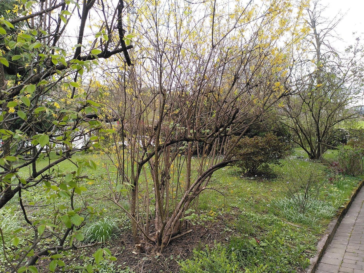 Prodej bytu 4+1 82 m², Baden-Baden, Bádensko-Württembersko Prodej bytu 4+1 82 m², Baden-Baden, Bádensko-Württembersko