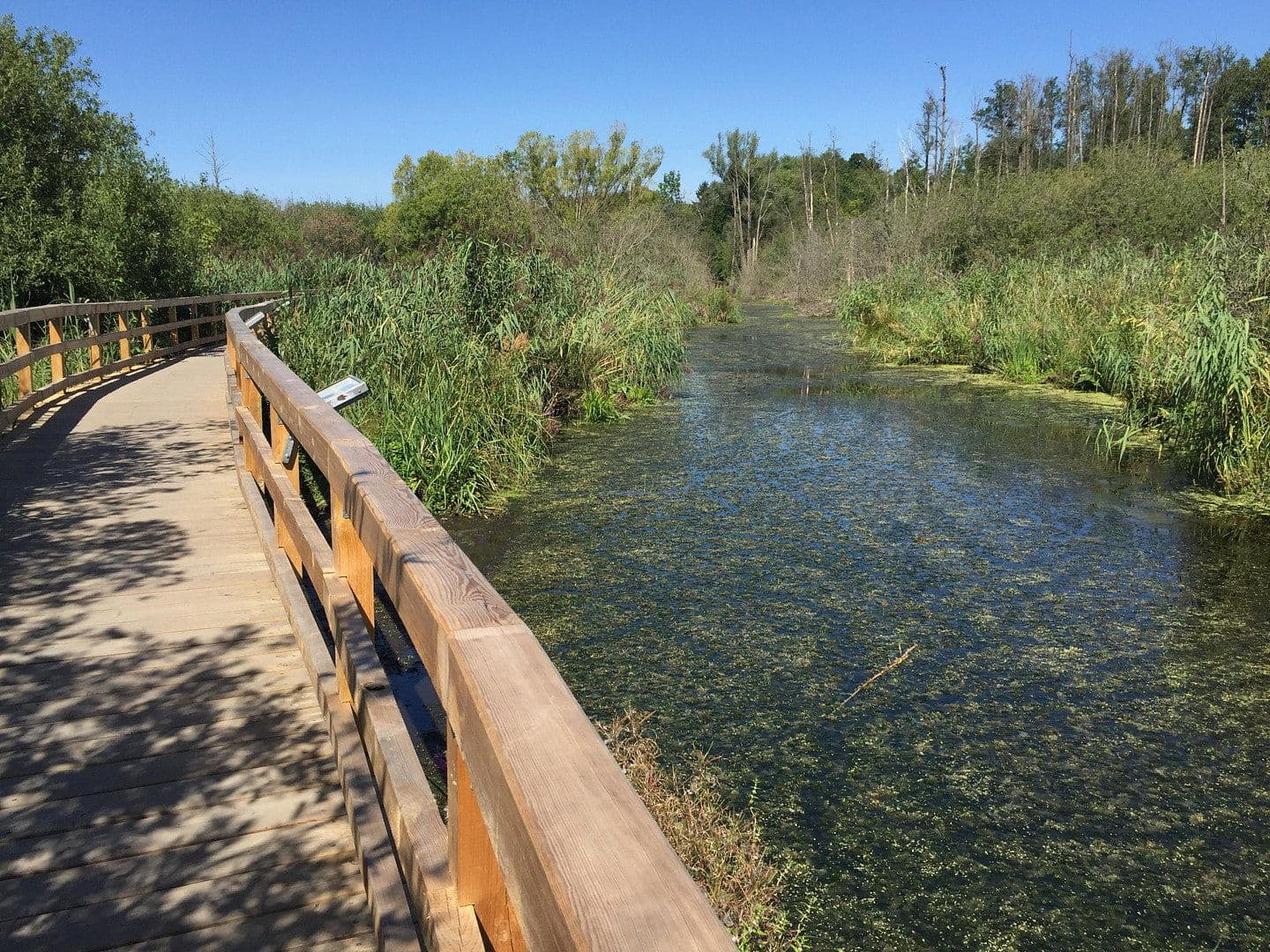 Prodej domu 115 m², pozemek 484 m², Berlin, Berlín Prodej domu 115 m², pozemek 484 m², Berlin, Berlín