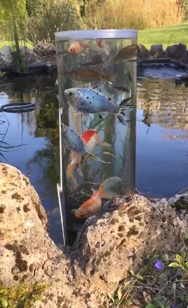 Prodej domu 263 m², pozemek 4.800 m², Rödinghausen, Severní Porýní-Vestfálsko Prodej domu 263 m², pozemek 4.800 m², Rödinghausen, Severní Porýní-Vestfálsko