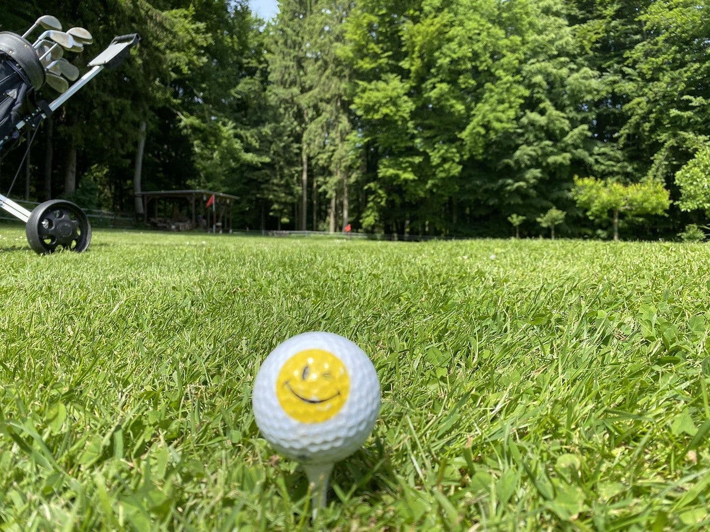 Prodej domu 263 m², pozemek 4.800 m², Rödinghausen, Severní Porýní-Vestfálsko Prodej domu 263 m², pozemek 4.800 m², Rödinghausen, Severní Porýní-Vestfálsko