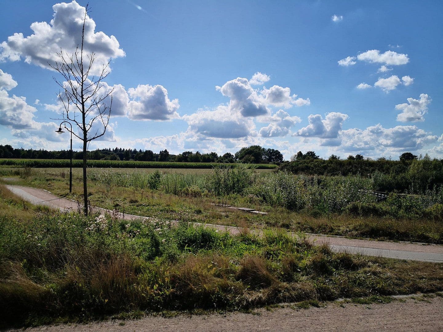 Prodej domu 141 m², pozemek 564 m², Harsefeld, Dolní Sasko Prodej domu 141 m², pozemek 564 m², Harsefeld, Dolní Sasko