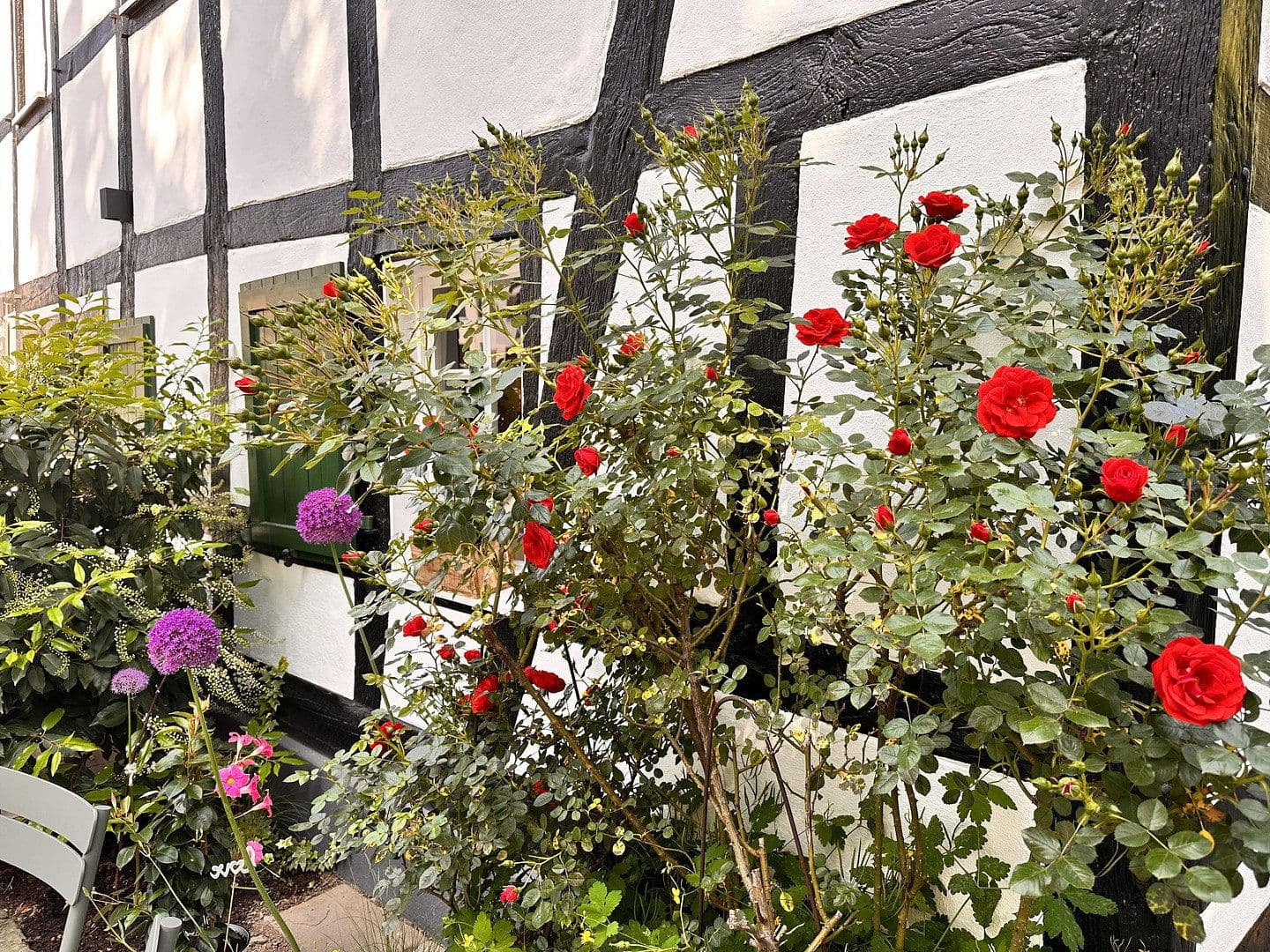 Prodej nebytového prostoru 388 m², Bergisch Gladbach, Severní Porýní-Vestfálsko Prodej nebytového prostoru 388 m², Bergisch Gladbach, Severní Porýní-Vestfálsko