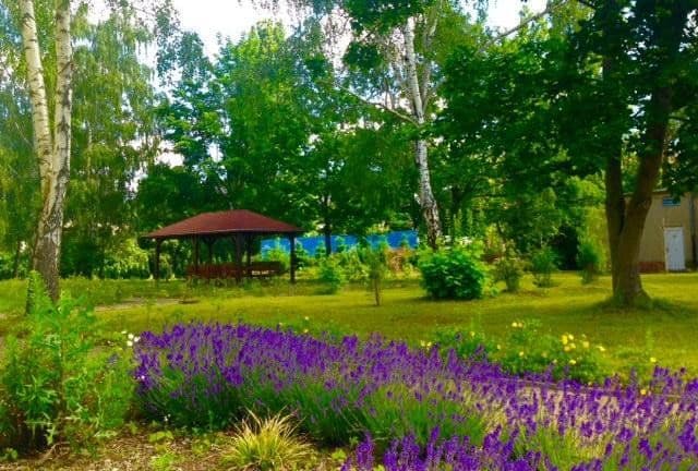 Pronájem bytu 1+1 23 m², Ostbahnhofstr. 20A, Eilenburg, Sasko Pronájem bytu 1+1 23 m², Ostbahnhofstr. 20A, Eilenburg, Sasko